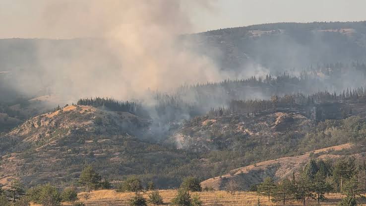 A Fire Is Burning Near Konsko in the Gevgelija Area